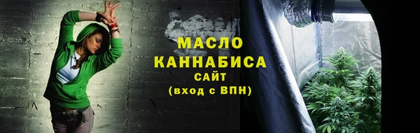 индика Костерёво
