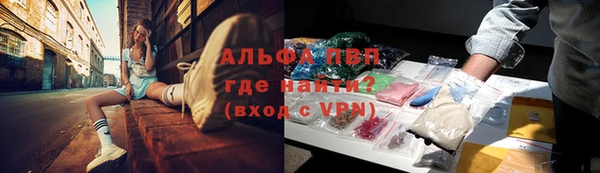 индика Костерёво