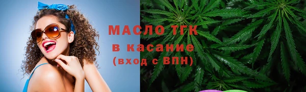индика Костерёво