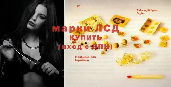 индика Костерёво