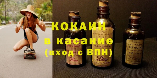 индика Костерёво