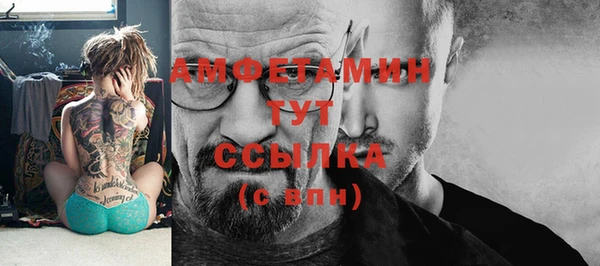 индика Костерёво