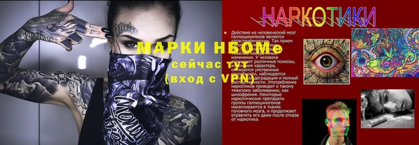 индика Костерёво