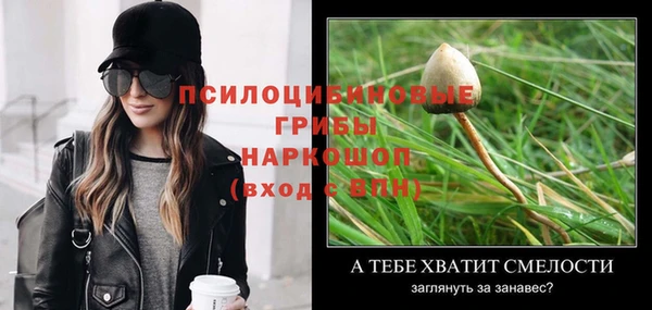 первитин Коряжма
