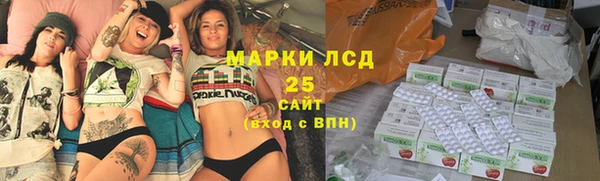 дживик Тобольск